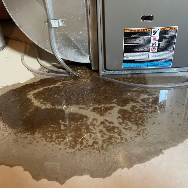 Pipe Burst and Leak Restoration in Gardnerville Ranchos, NV